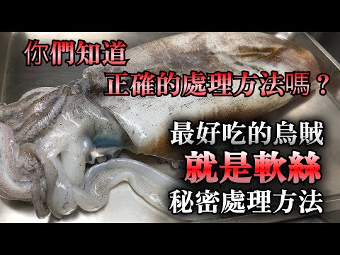 【軟絲處理方法】可能很多人不知道壽司店的特別處理方法　日本人壽司師傅介紹　用季節到的較絲做生魚片，握壽司