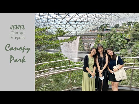 JEWEL Changi Airport Canopy Park fun attractions 星耀章宜机场顶楼设施设备