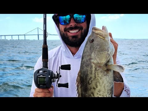 Catching Keeper Gag Grouper in Tampa Bay