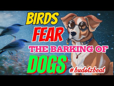 BIRDS FEAR THE BARKING OF DOGS BUDOTS