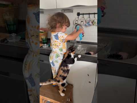 Blind kitten helps the baby wash the dishes.