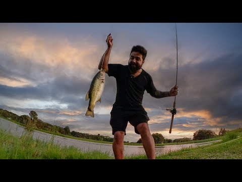 Solo no Pântano da Flórida Capturando Peixes