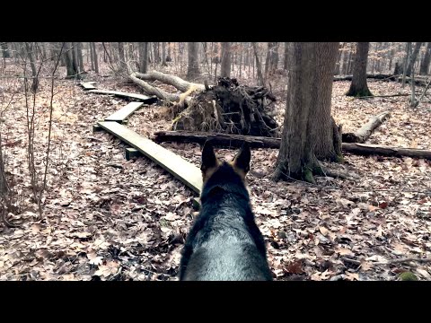 Ep131 Buttermilk Trail with our German Shepherd Walking the plank. Hiking Video