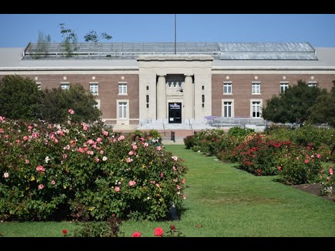 Exposition Park Rose Garden of Los Angeles 洛杉矶玫瑰花园