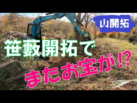 【山開拓】笹藪開拓中に出てきたものは⁉土の中からお宝が！