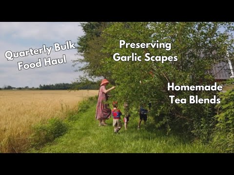 Homestead Kitchen Work ~ Large Family Bulk Food Haul