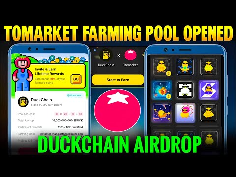 Tomarket Farming Pool | Stake TOMA earn DUCK ? | DuckChain Airdrop Snapshot + NFTs Reward