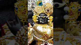 Koi Tumsa Nahin || #radheradhe #radhekrishna #radhavallabh #krishna  #vrindavan #subscribe