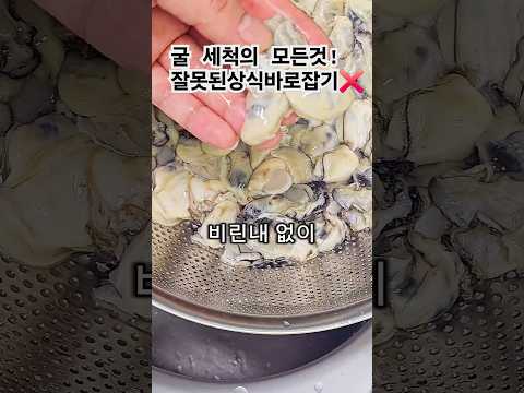 굴 비린맛 없애는 법! 완벽 세척 팁