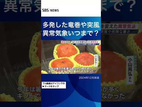 多発した竜巻や突風異常気象いつまで？#SBSNEWS#shorts