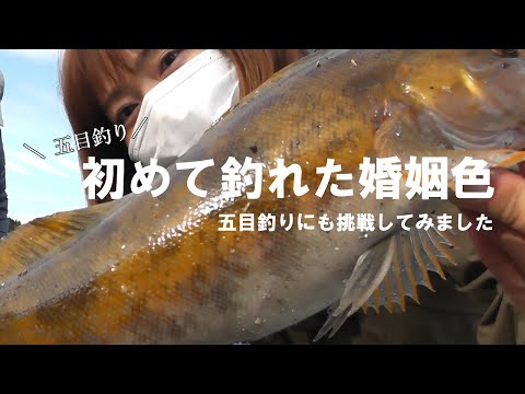 今日は嬉しい五目釣り。婚姻色のアイナメも初めて釣れて楽しい一日でした【宮城県】【堤防釣り】