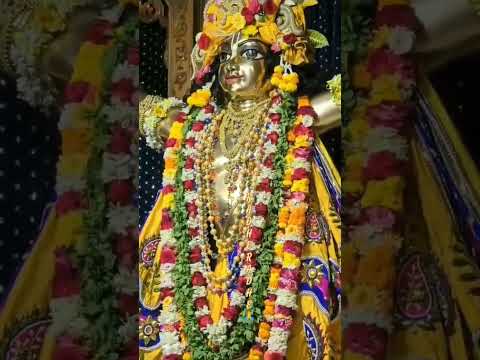 Radhe Radhe #radheradhe #iskcon #krishna #premanandjimaharaj #love #radha #dailyvlog #trending