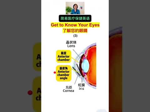 Get to Know Your Eyes 了解您的眼睛 (3)