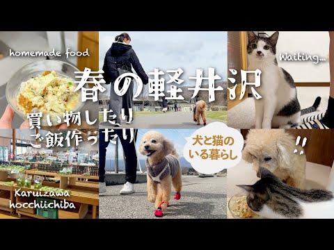 【犬とお出かけ】高級食材で犬と猫にごはんを作ったら大喜び🍳/軽井沢アウトレット/休日vlog