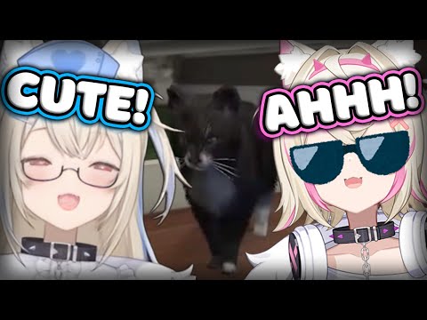 FUWAMOCO Can't Handle the Cuteness of These Cats! [Hololive EN]