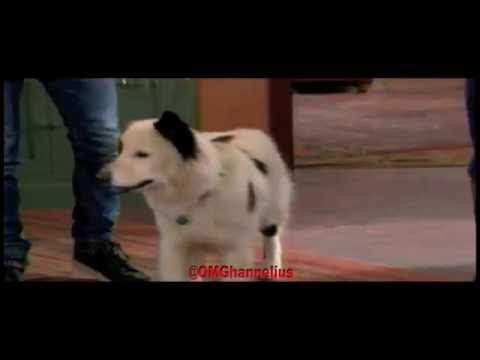 Stan's Secret Is Out - Dog With A Blog - Season 3 Episode 23 promo #2 - Final Episode - G Hannelius‬