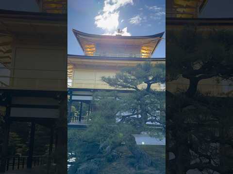 Kinkaku-ji in Kyoto, Japan, with the golden phoenix on top of the roof that symbolizes good fortune!