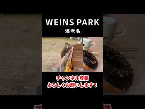 トヨタ正規販売店×アウトドア体験ができる話題の新スポット☆『WEINS PARK海老名』#shorts  #ウエインズパーク海老名 #ウエインズ #トヨタ #アウトドア #キャンピングカー #サウナ