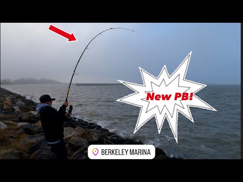 Fishing Berkeley Marina On A Windy Day! New PB! #bayarea #fishing #fish #california #fun #new #video