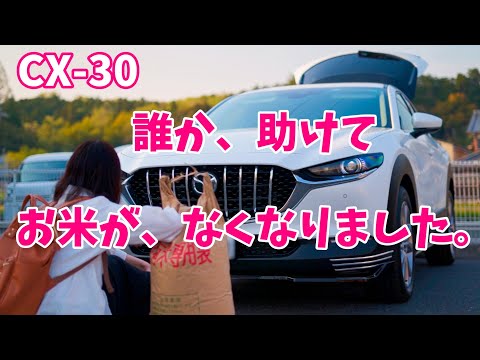 Mazda CX-30 今後は、もう無理です。