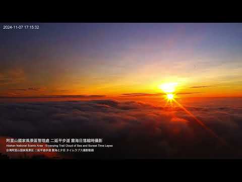 阿里山即時影像-二延平步道-夕陽縮時 2024-11-07 | Sunset and Cloud-sea Timelapse Eryanping Trail, Alishan, Taiwan