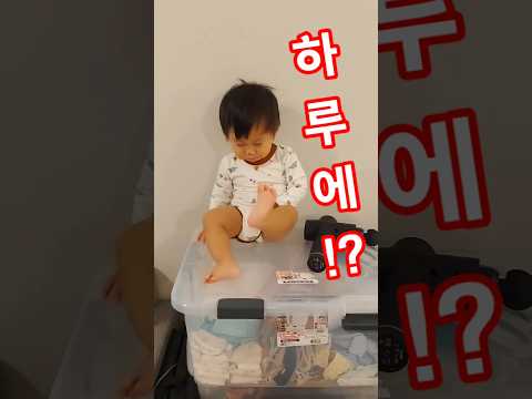 이맘때 아기들은!? #아기 일상 #아기 #shorts #오르기 #높은곳 #보금자리 #baby #14개월아기