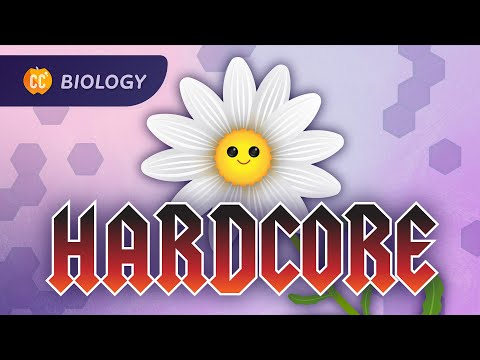 Plant Anatomy & Physiology: Plants Are Hardcore: Crash Course Biology #42