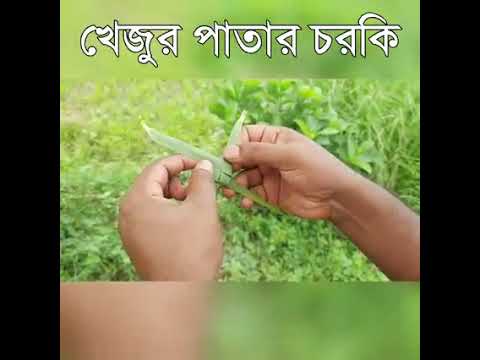 খেজুর পাতার চরকি বানানোর কৌশল 😍 (Made Jenny by date leaves)...