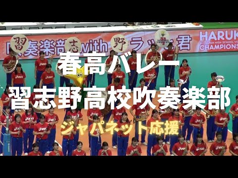 2017春高バレー習志野高校 王者駿台からセットを奪取！会場は大興奮のまま応援パフォーマンスへ突入