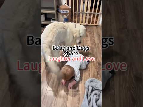 Adorable Dogs and Baby Play Together: Heartwarming Moments of Friendship #funnybabies