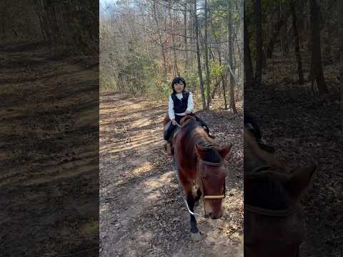 Ronan Ride : Happy Thanksgiving 🦃🍁🍽 Everyone.   #horserider #horseriding #kidhorseriding