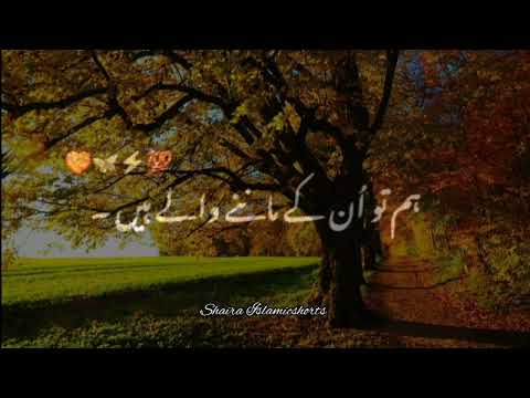 Jine Dekh Patthar Bhi Kalma Padte Hai 🥀 | Islamic WhatsApp Status |