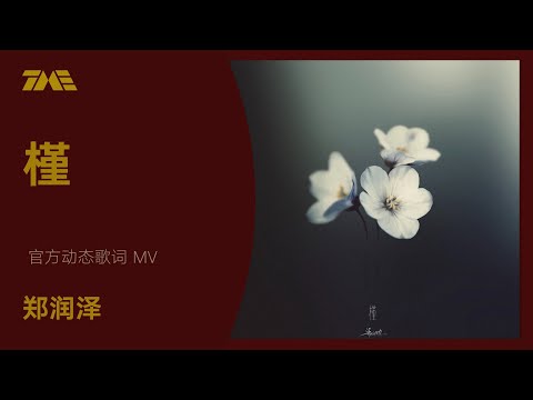 鄭潤澤《槿》 | 官方動態歌詞版MV [4K 60HZ超高清畫質]｜騰訊音樂雲頻道