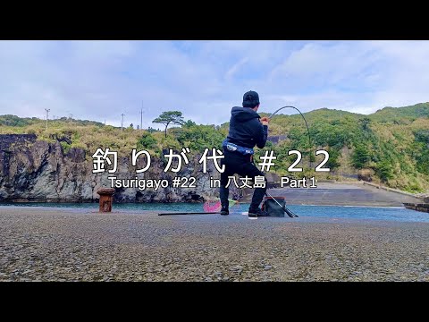 #22 八丈島堤防での団子釣りで本命が、！｜in 八丈島 part１｜4K動画