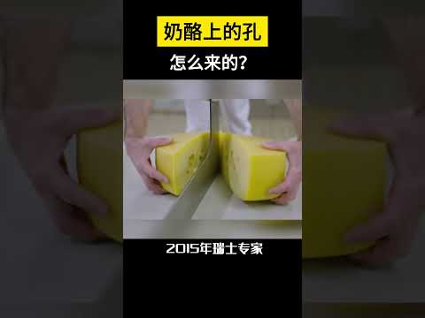 【科技趣闻】奶酪上的孔怎么来的？ #shorts