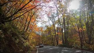 Road to Oirase stream and Lake Towada | Autumn in Tohoku