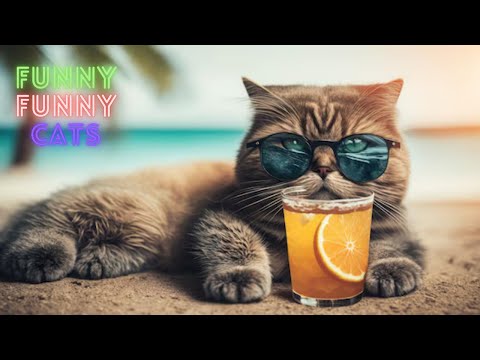 Funny Cat Videos On Youtube😂 Funniest Cat Videos in The World😹 Funny Cat Videos Compilation😺Part 100