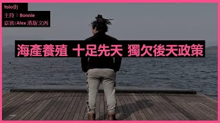 【Yolo 科技街】海產養殖未來：有十足先天優勢 獨欠後天東風政策  與Alex談本地魚熟成技術