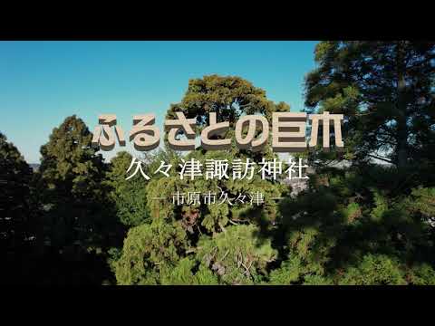 【千葉県市原市】空から見た巨木の映像「ふるさとの巨木」～諏訪神社～