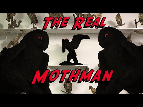 The Body of Mothman