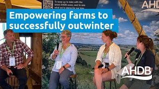 Clarity, Community and Ownership – Empowering farms to successfully outwinter | AHDB