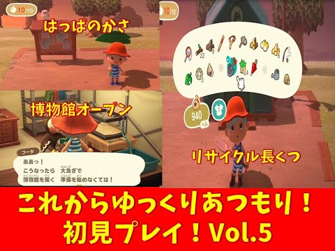 快適島民生活 夕方のていく島　あつまれ　どうぶつの森　ニンテンドーswitch　初見プレイvol.5