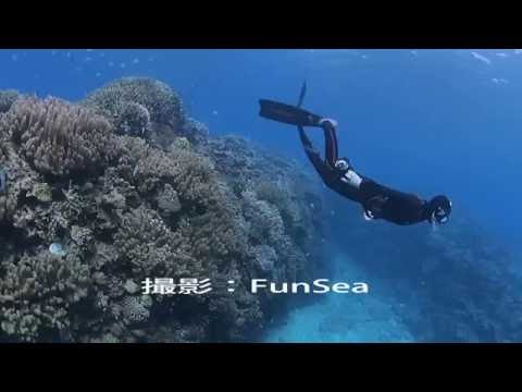 浜松市発スキンダイビングツアー沖縄