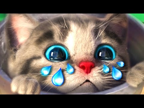 Little Kitten Preschool Adventure Educational Games iOS Play Fun Cute Kitten Pet Care Learning kids!