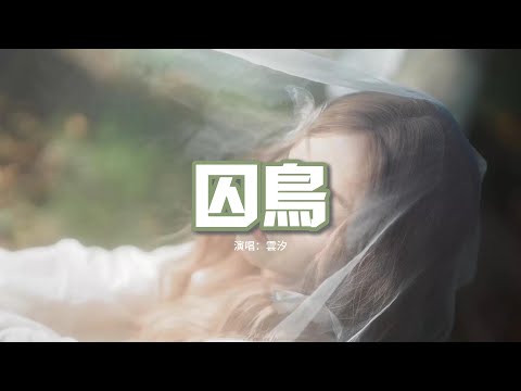 雲汐 - 囚鳥『我像是一個你可有可無的影子，和寂寞交換着悲傷的心事。』【動態歌詞MV】