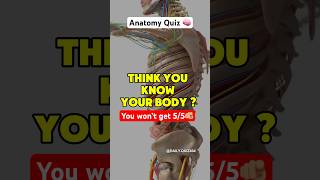 Anatomy quiz🇺🇸🧠 can you get 5/5? #usaquiz #anatomyquiz