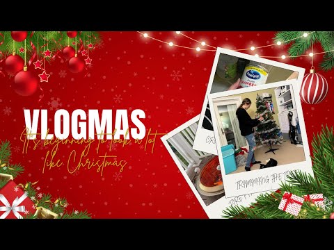 Vlogmas Day 2: Thanksgiving and Christmas Prep