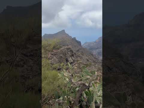 Masca Valley 🌴| Tenerife #mascavalley #tenerife #canaryislands