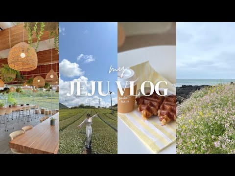 Jeju Island travel vlog🍊 Cafe hopping, Korean BBQ, Innisfree, luxury hotels, tourist attractions