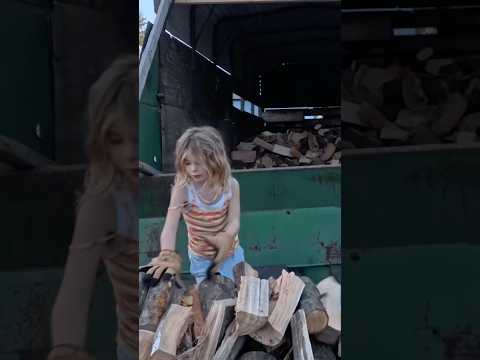 Kids like firewood season